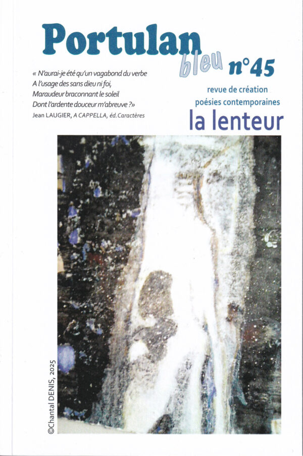  Portulan bleu n°45 : la lenteur